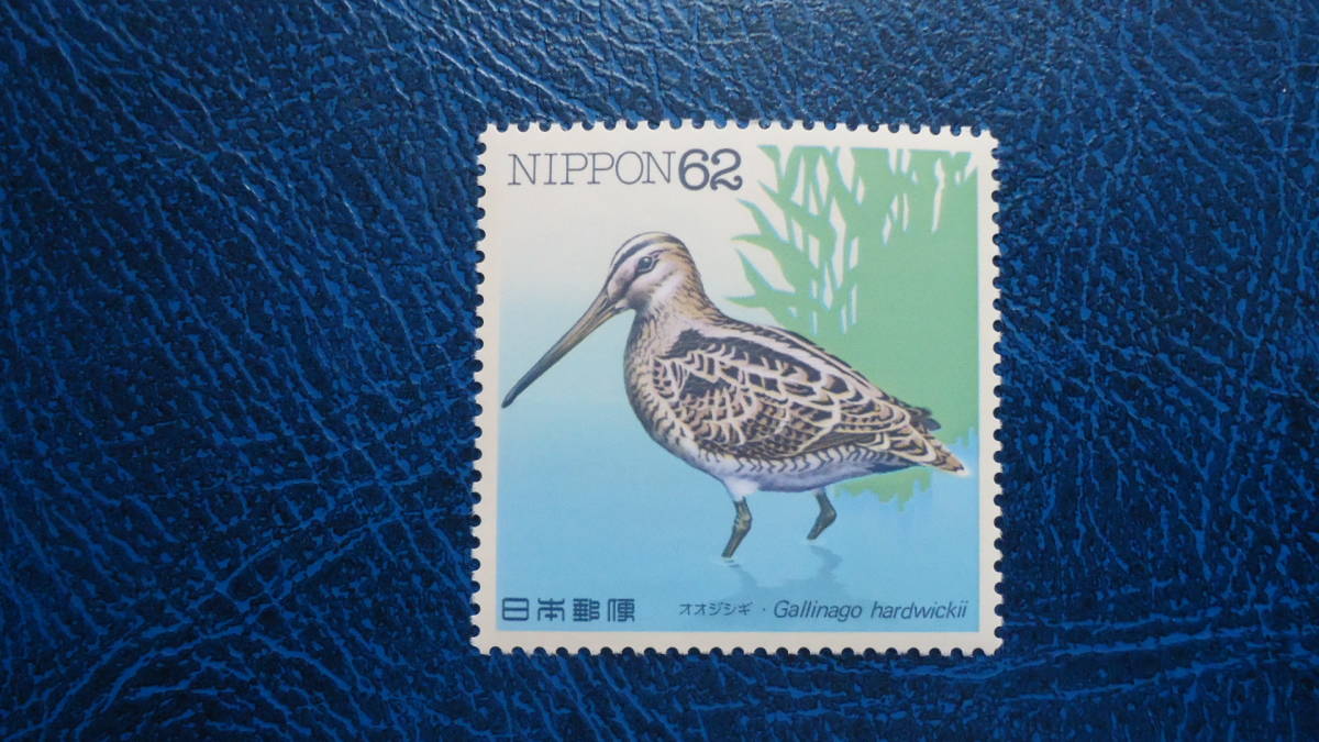 ▲水辺の鳥シリーズ　第1集　オオジシギ_画像1