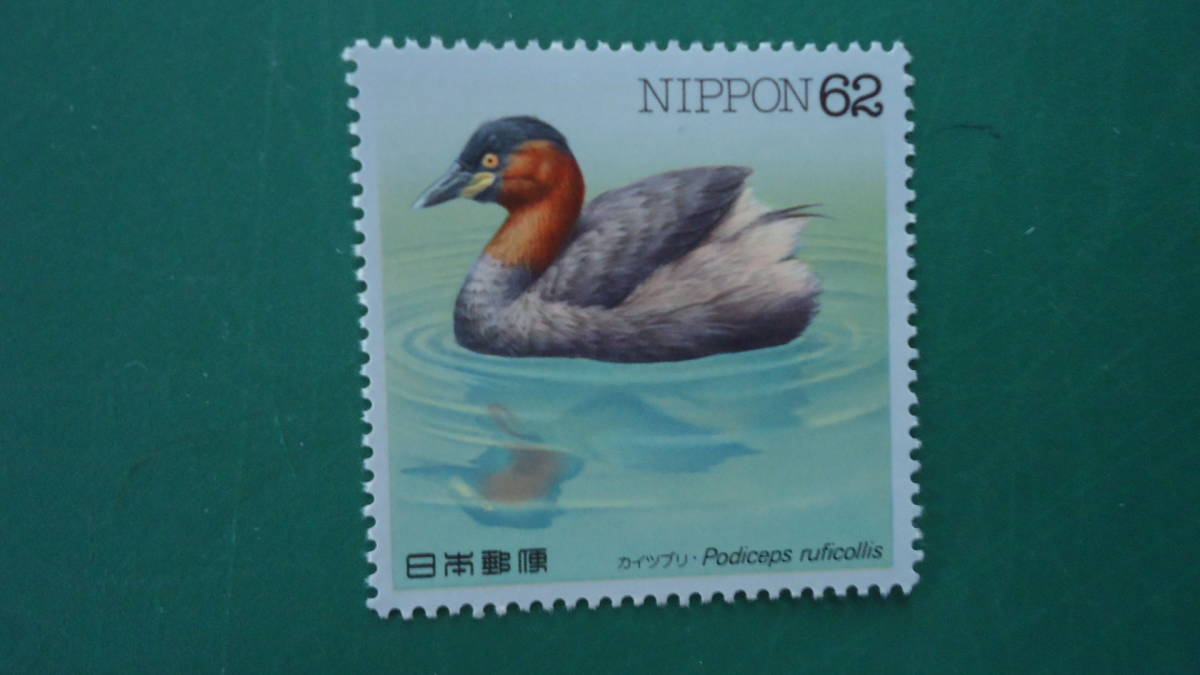 ◎水辺の鳥シリーズ　カイツブリ_画像1