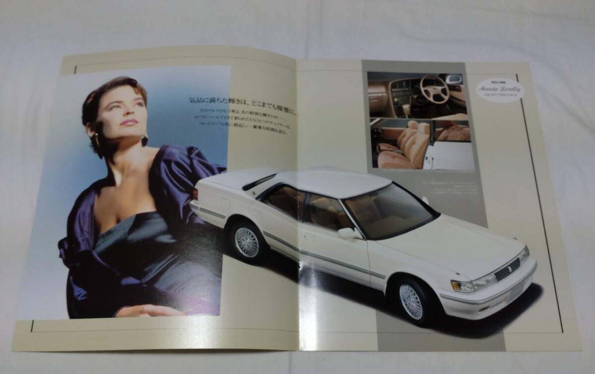  прекрасный товар Toyota Chaser avante roadly специальный выпуск каталог 