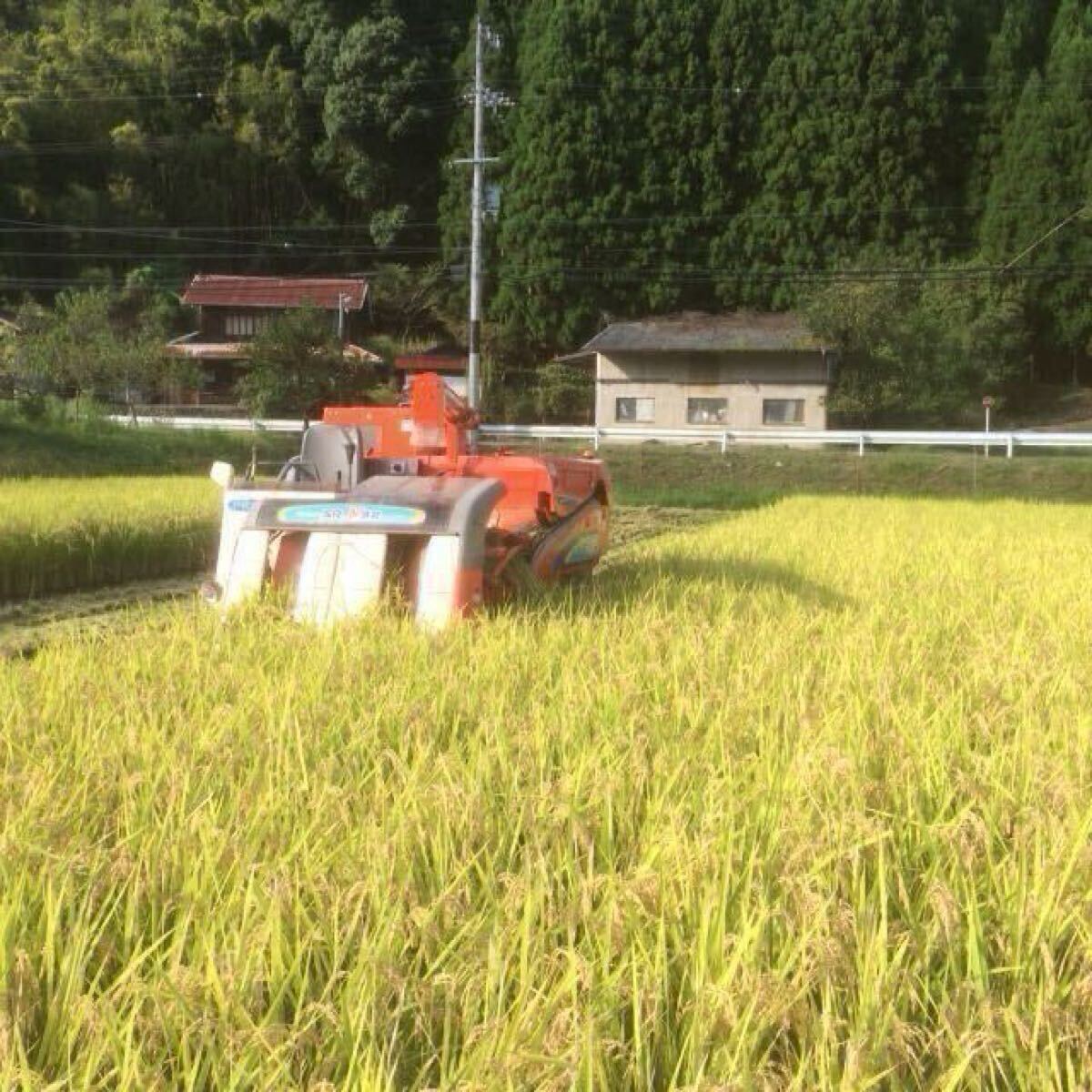 送料無料　新米　令和6年度産　京都丹波産コシヒカリ玄米5kg （精米可）　美味しいお米 　