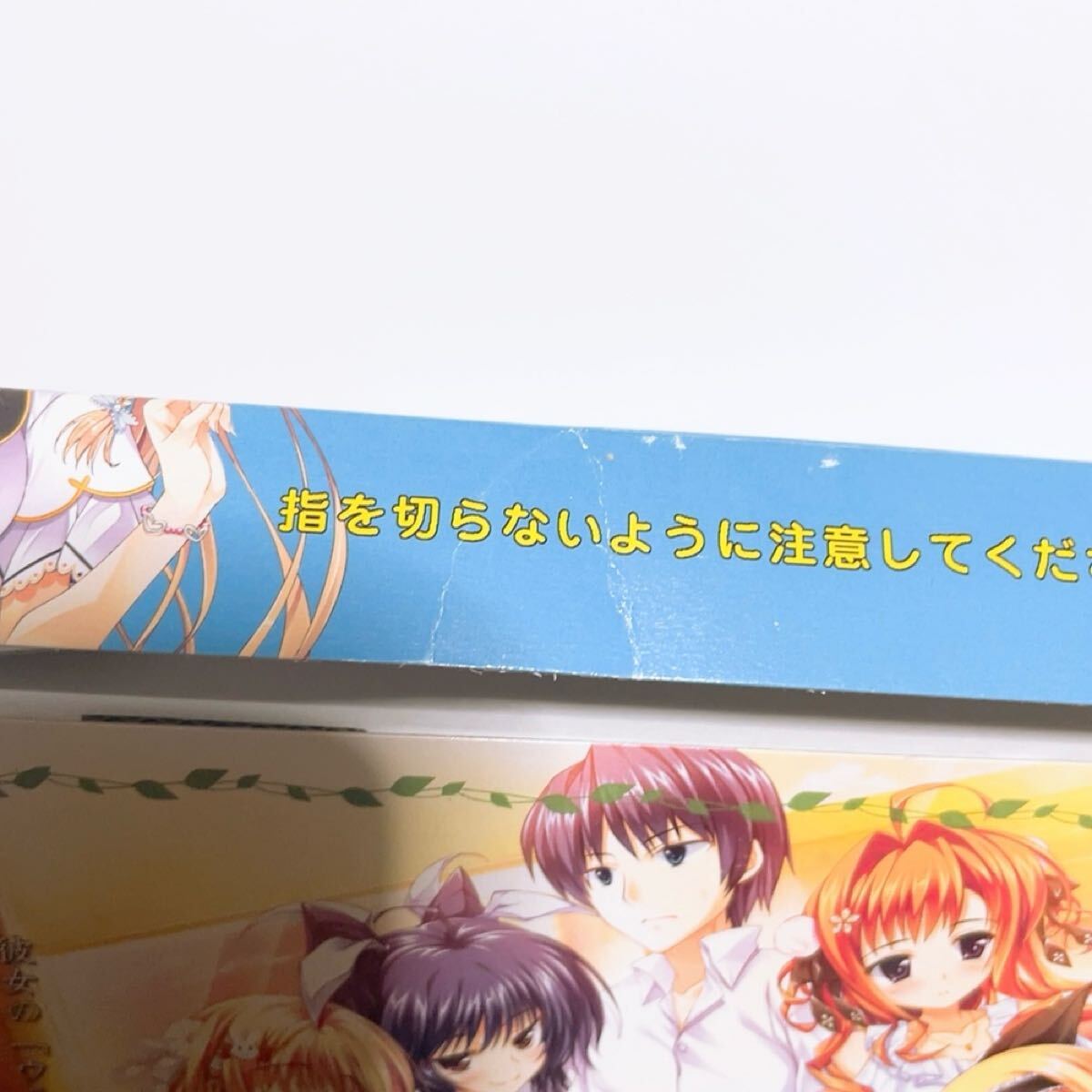 PCゲーム　俺の彼女のウラオモテ 初回版 コンプリートサウンドトラックCD Aries