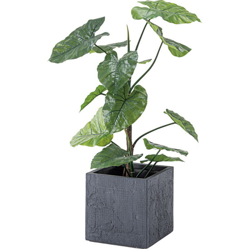  искусственная зелень k wise mo[ зеленый ] поли соль .biniru синтетическая смола 