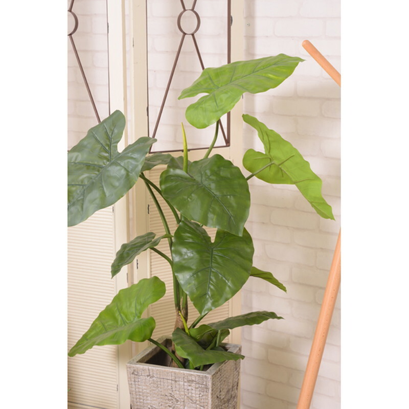  искусственная зелень k wise mo[ зеленый ] поли соль .biniru синтетическая смола 