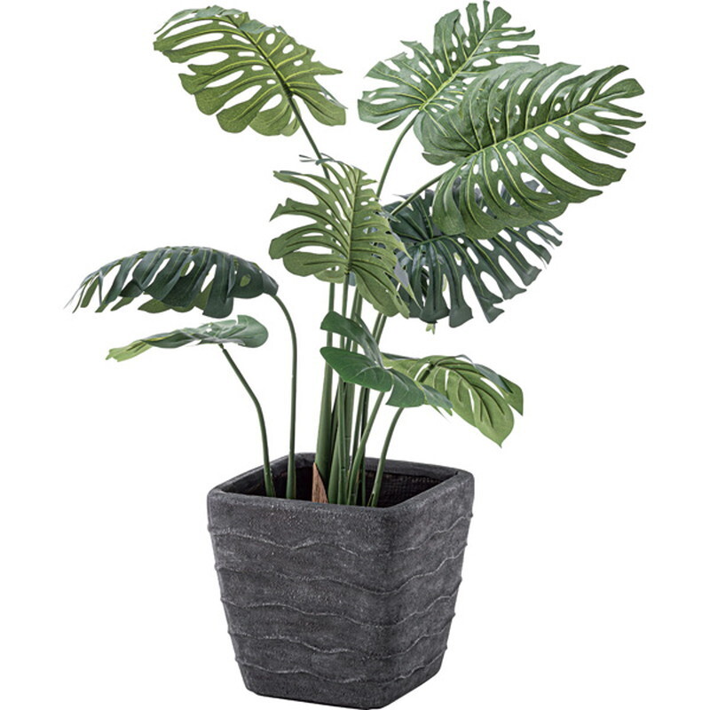  искусственная зелень монстера [ зеленый ] поли соль .biniru синтетическая смола 