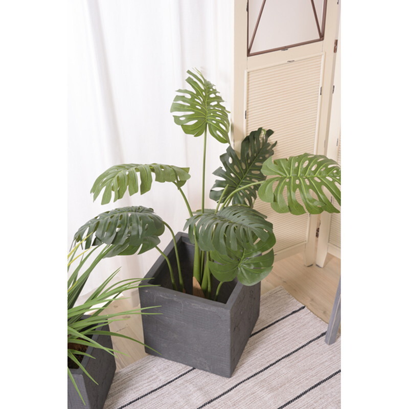  искусственная зелень монстера [ зеленый ] поли соль .biniru синтетическая смола 