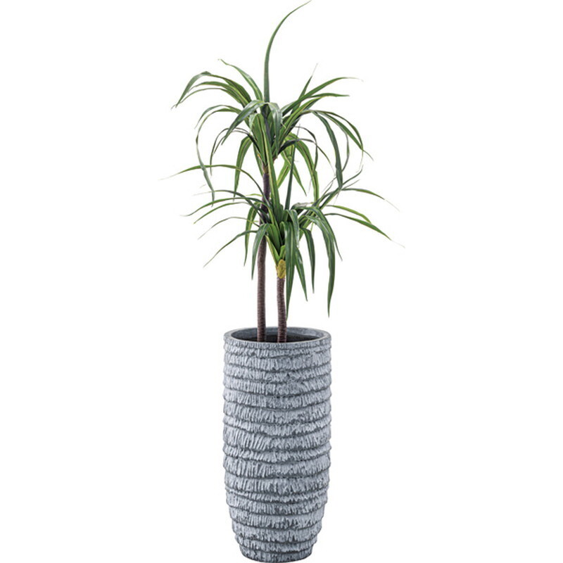  искусственная зелень драцена [ зеленый ] поли соль .biniru синтетическая смола 