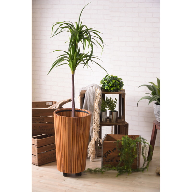  искусственная зелень драцена [ зеленый ] поли соль .biniru синтетическая смола 