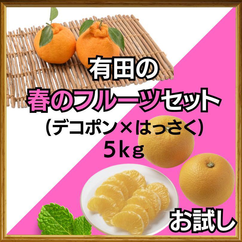 セット 5㎏ 有田みかん デコポン 不知火 はっさく 食べ比べセット 八朔
