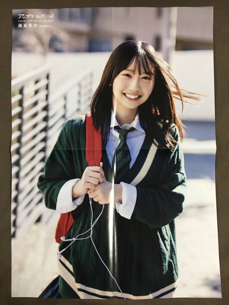 藤嶌果歩×平簾帆夏両面ポスター アップトゥボーイ 2025年3月號特別付録 縦51.5㎝×橫36㎝サイズ