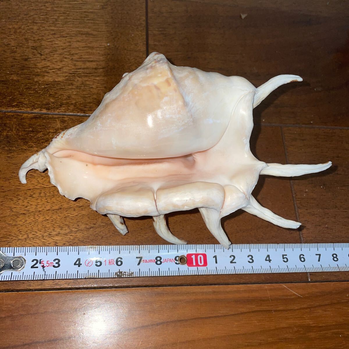 item_image_5