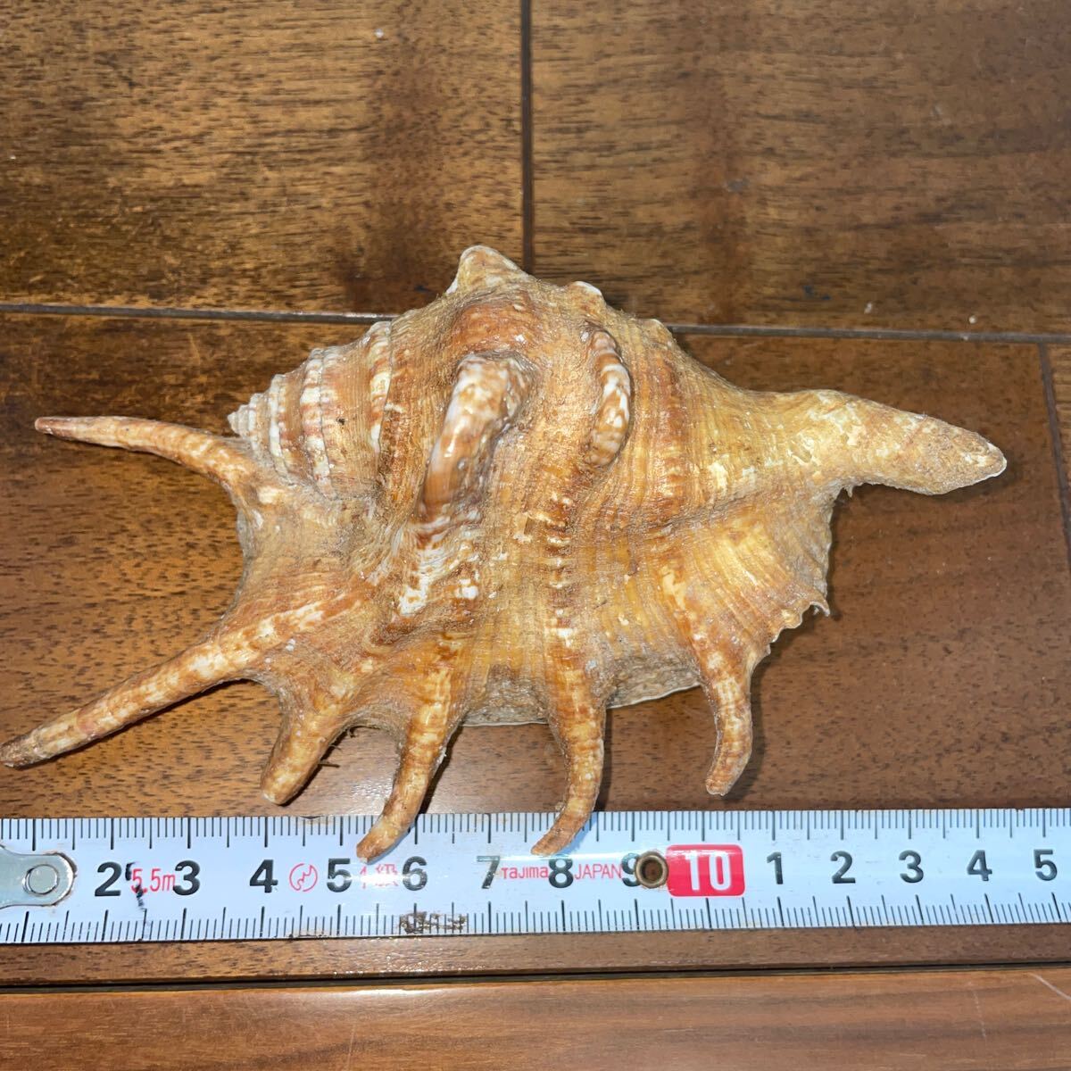 item_image_6