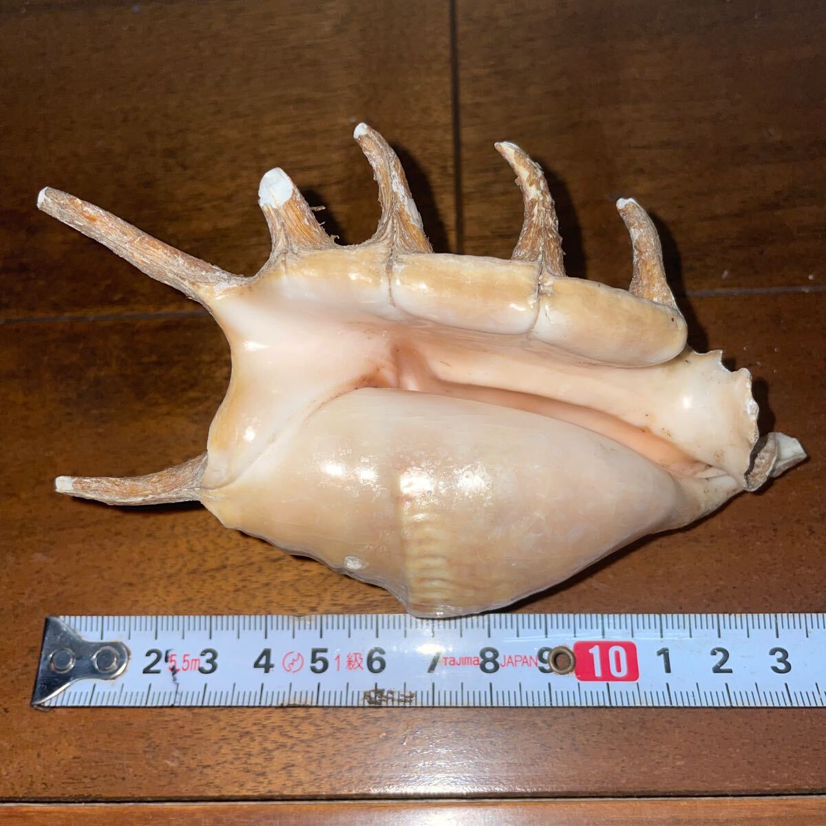 item_image_7