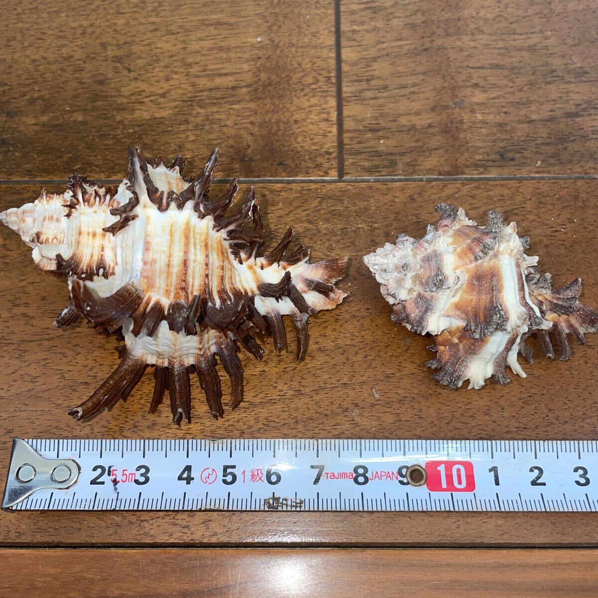 item_image_8