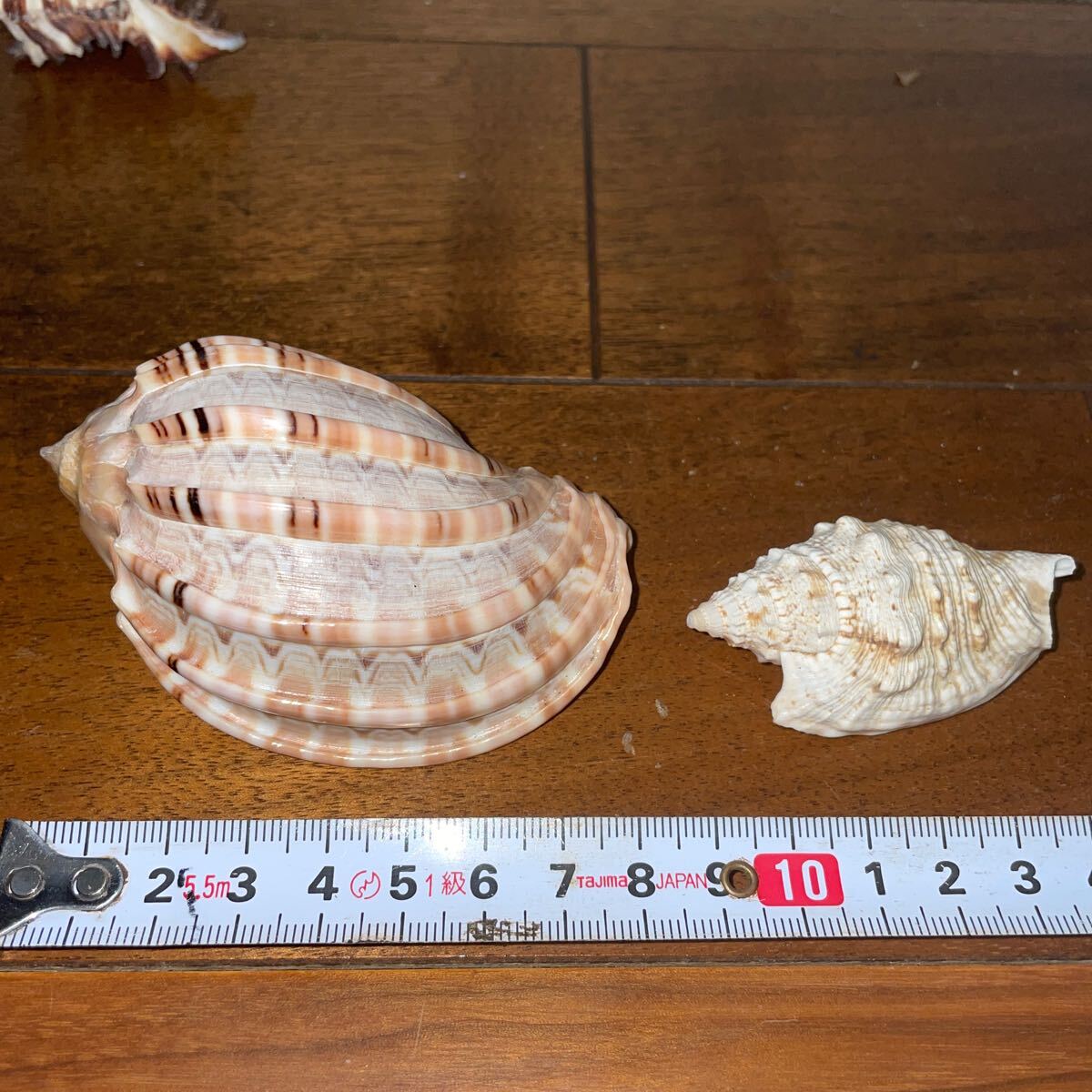 item_image_10