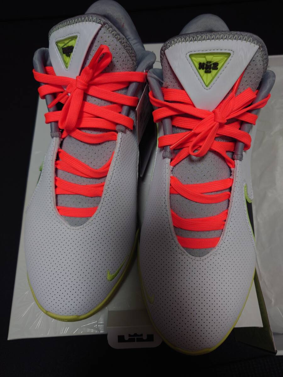 NIKE ナイキ　レブロン22 EP　28.5㎝