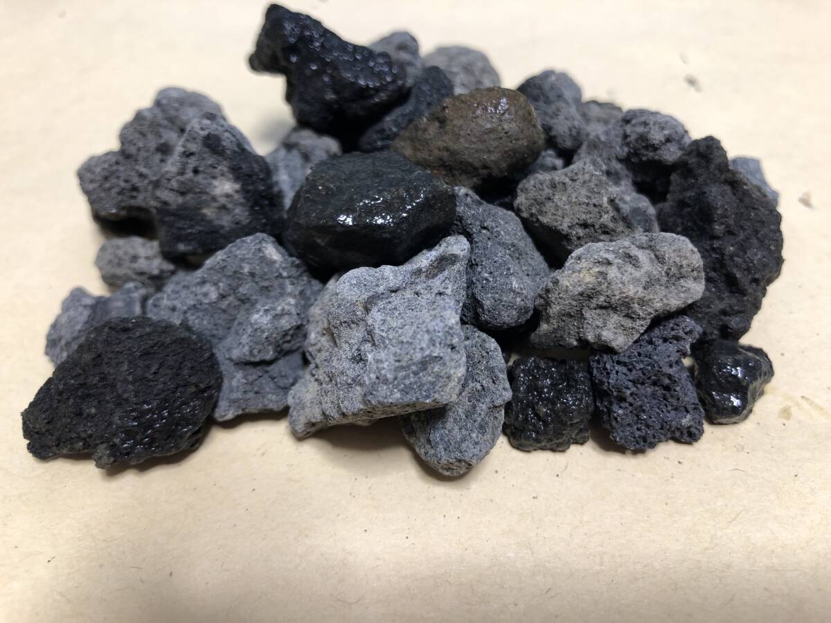 溶岩石 極小サイズ 100g (1) 高濾過 盆栽 花壇 水槽 金魚 水草 溶岩石 極小サイズ 100g (1) 高濾過 盆栽 花壇 水槽 金魚 水草