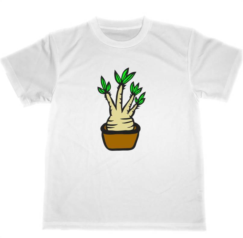 グラキリス　ドライ　Tシャツ　TUGE9999　オリジナル　グッズ　切り絵　アート　塊根植物　観葉植物　多肉植物　_画像1