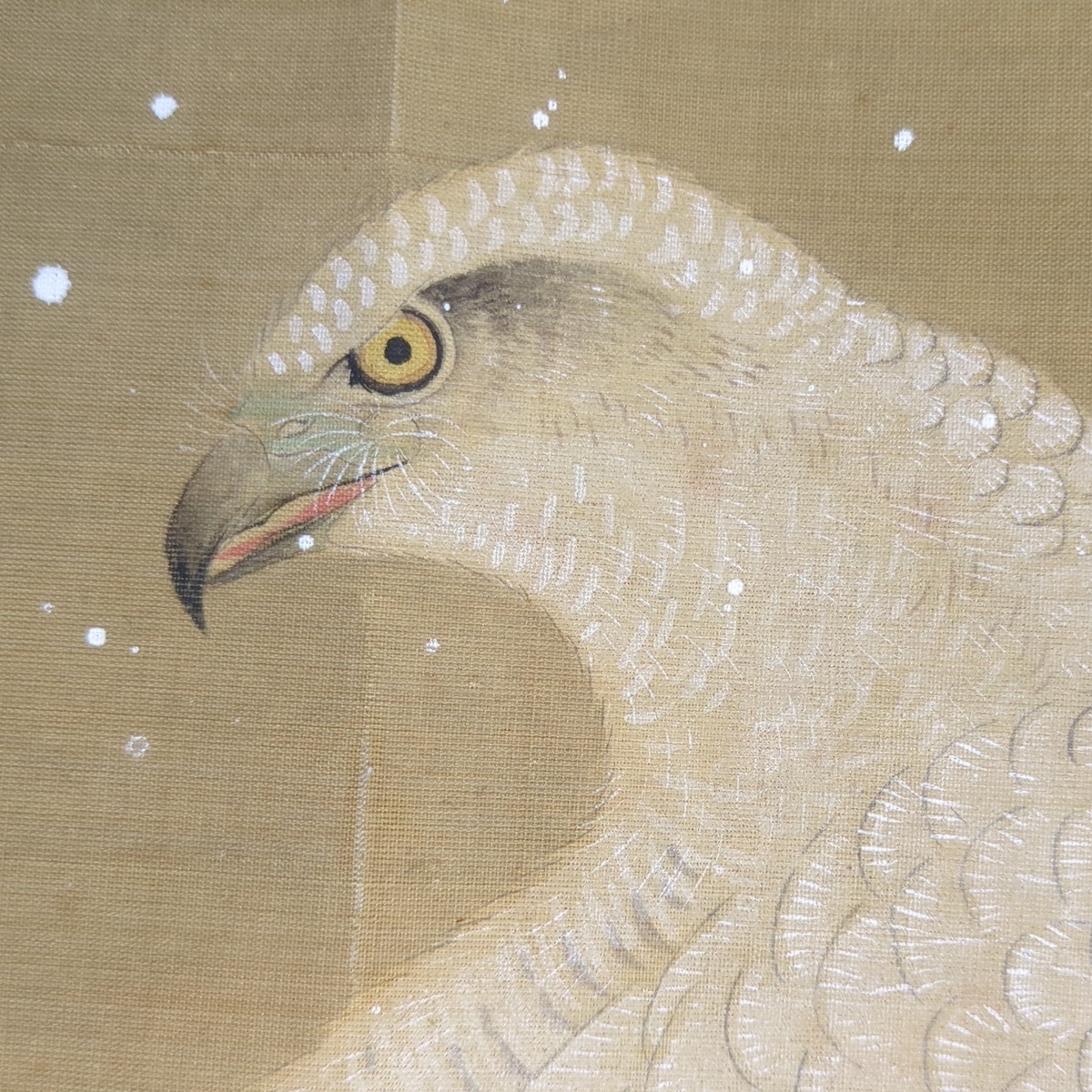 狩野探幽 模写 鷙鳥図 絹本 肉筆画 江戸期 狩野派 落款 鷹 鷲 狩野探幽 模写 鷙鳥図 絹本 肉筆画 江戸期 狩野派 落款 鷹 鷲