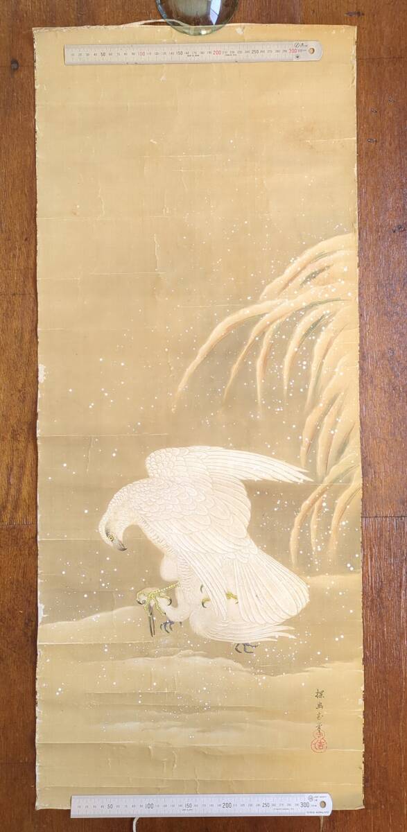 狩野探幽 模写 鷙鳥図 絹本 肉筆画 江戸期 狩野派 落款 鷹 鷲 狩野探幽 模写 鷙鳥図 絹本 肉筆画 江戸期 狩野派 落款 鷹 鷲