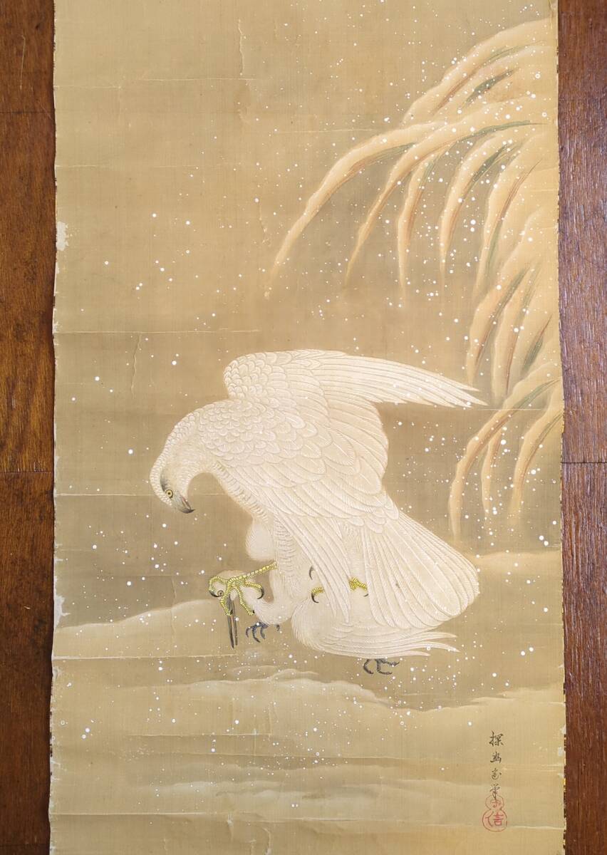 狩野探幽 模写 鷙鳥図 絹本 肉筆画 江戸期 狩野派 落款 鷹 鷲 狩野探幽 模写 鷙鳥図 絹本 肉筆画 江戸期 狩野派 落款 鷹 鷲