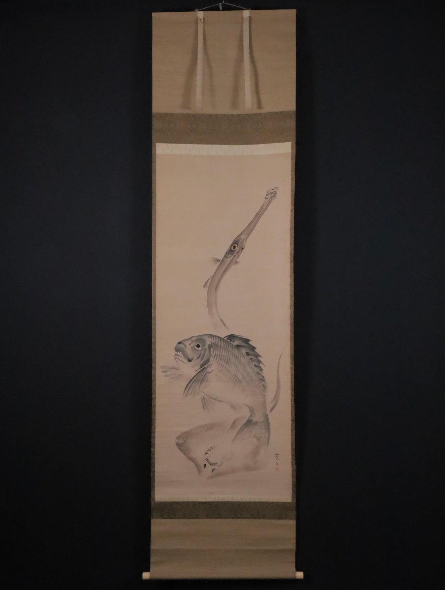 模写】吉】11936 松村景文 魚族図 四条派 松村呉春の末弟 茶掛け