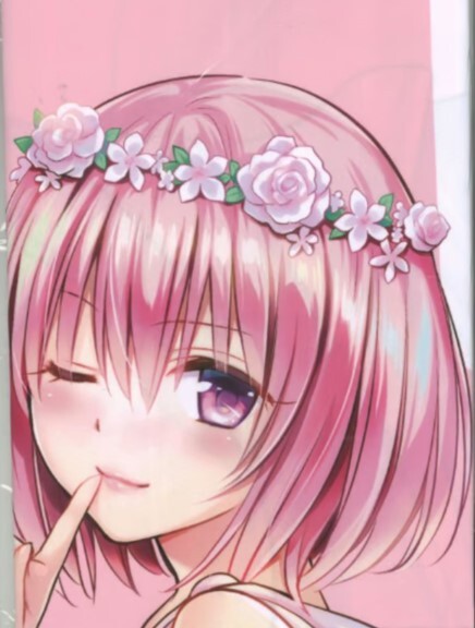 To LOVEる 15周年記念原画展 等身大布ポスター　モモ・ベリア・デビルーク