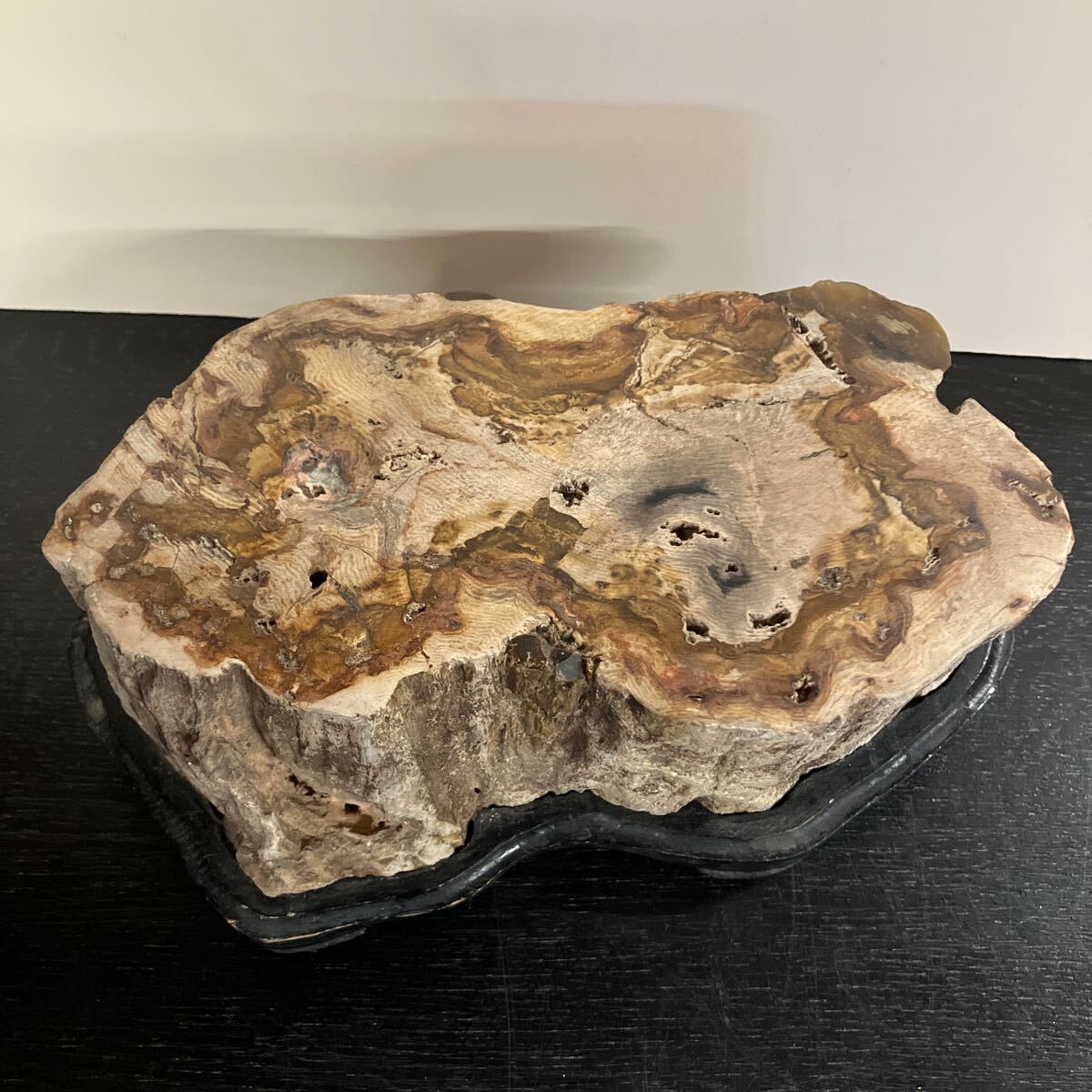 珪化木 木化石 天然石 横幅 約23.1cm 奥行き約13.3cm 高さ 約9.3 珪化木 木化石 天然石 横幅 約23.1cm 奥行き約13.3cm 高さ 約9.3