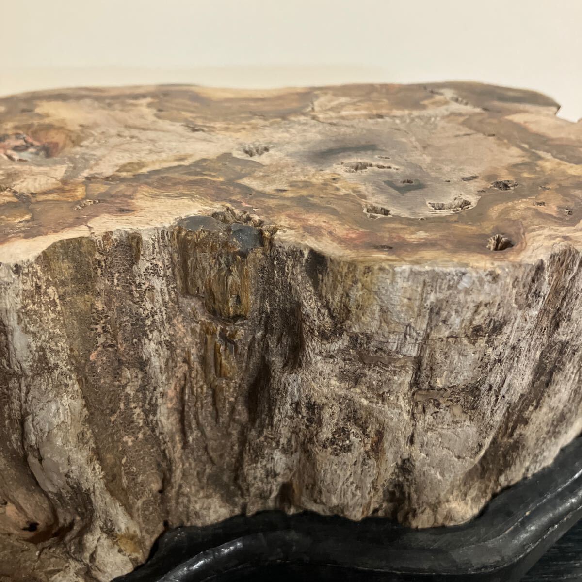 珪化木 木化石 天然石 横幅 約23.1cm 奥行き約13.3cm 高さ 約9.3 珪化木 木化石 天然石 横幅 約23.1cm 奥行き約13.3cm 高さ 約9.3
