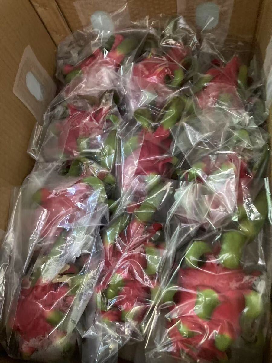 826.新鮮果物赤肉ドラゴンフルーツ火龍果 10玉入り