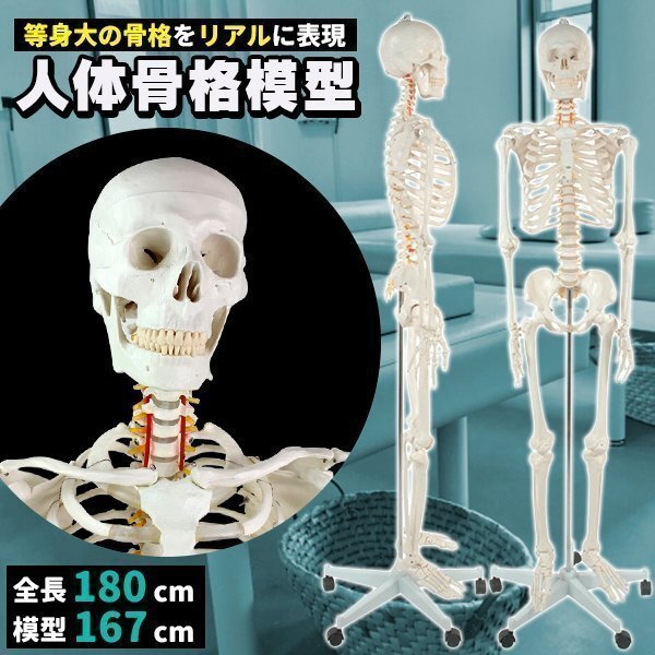 ノヴァ急報 ペヨトル工房 1995 初版 バロウズ ノヴァ急報 ペヨトル工房 1995 初版 バロウズ
