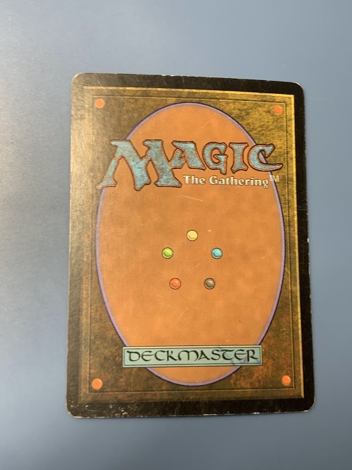 MTG すべてを護るもの、母聖樹/Boseiju, Who Shelters All foil MTG すべてを護るもの、母聖樹/Boseiju, Who Shelters All foil