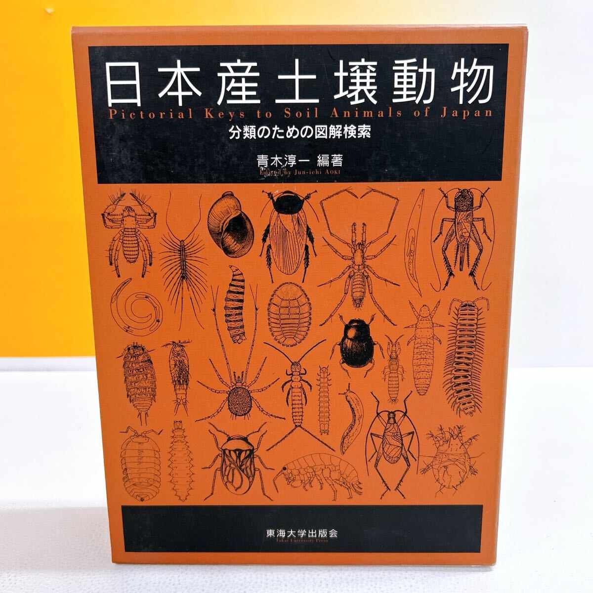 lj古本【日本地図帳 和本】明治10年 日本地誌略附図 金沢 広坂通 lj古本【日本地図帳 和本】明治10年 日本地誌略附図 金沢 広坂通