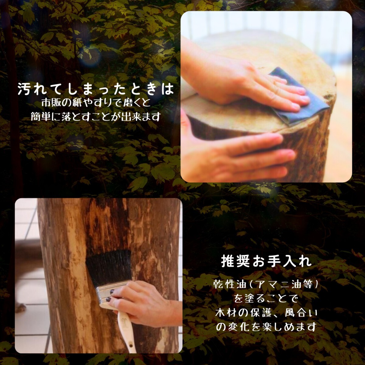 東濃ひのき根元末広がり 切株スツール・珈琲テーブル・特大 東濃ひのき根元末広がり 切株スツール・珈琲テーブル・特大