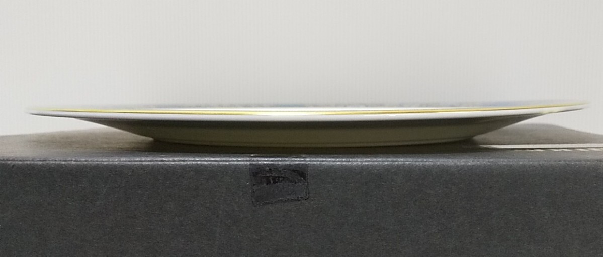 【美品】Royal Doulton plate「カーライル」オーバルプレート ロイヤルドルトン CARLYLE プレート 八王子引き取りOK25260