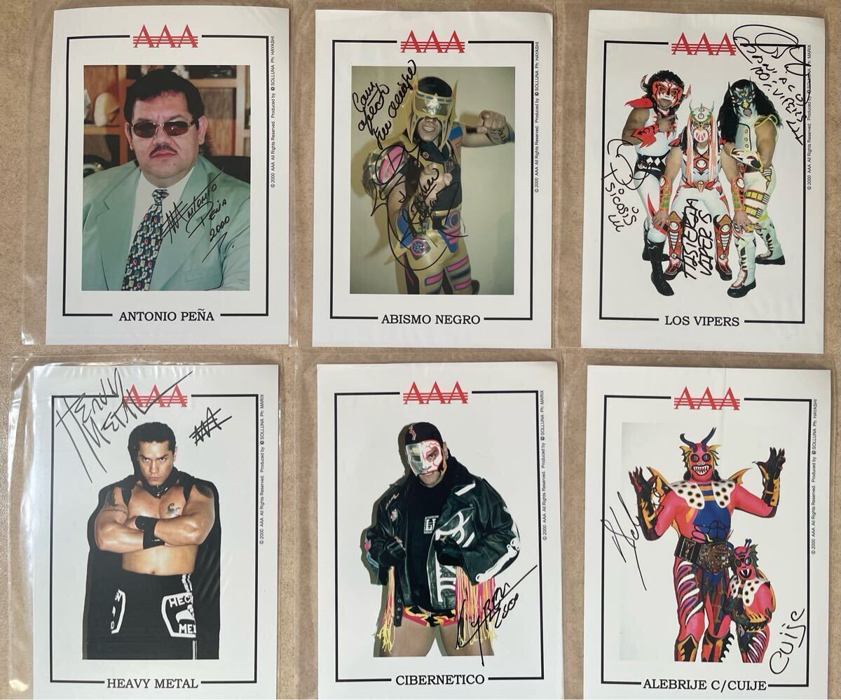力道山,直筆,サイン,プロマイド,日本プロレス,空手チョップ,遠藤 力道山,直筆,サイン,プロマイド,日本プロレス,空手チョップ,遠藤
