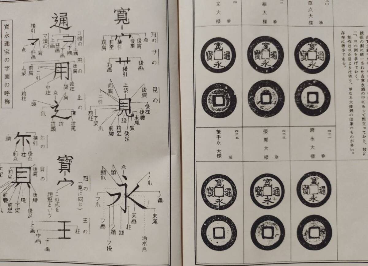 4320. ≪古銭本・銭譜≫ 増尾富房 著 【古寛永泉志】寛永通宝 4320. ≪古銭本・銭譜≫ 増尾富房 著 【古寛永泉志】寛永通宝