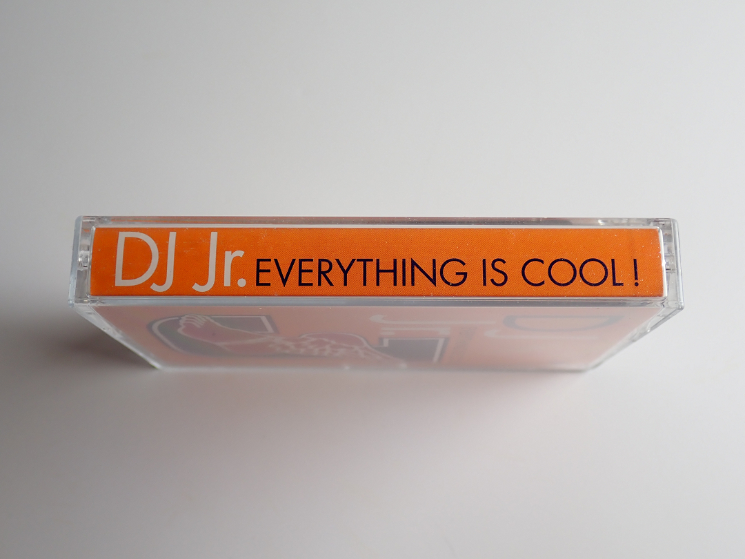 DJ JR. - EVERYTHING IS COOL! стоимость доставки 185 иен mix tape Mix лента японский язык LAP 