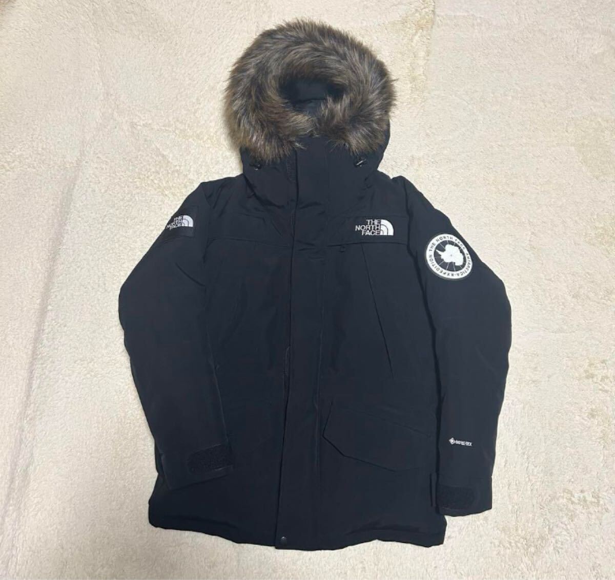 THE NORTH FACE アンタークティカパーカ