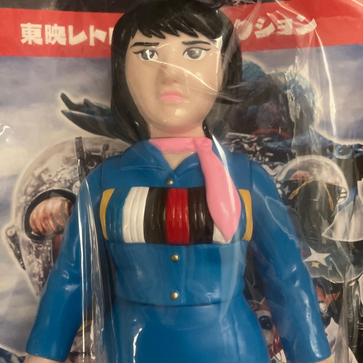 ビジンダーマリ 