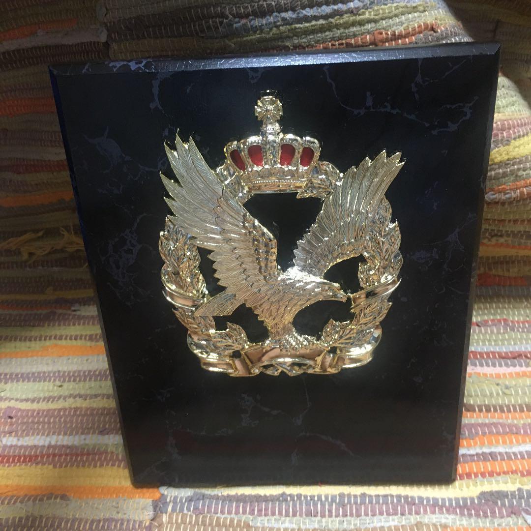 盾 ワールドイーグル SO899B_画像1