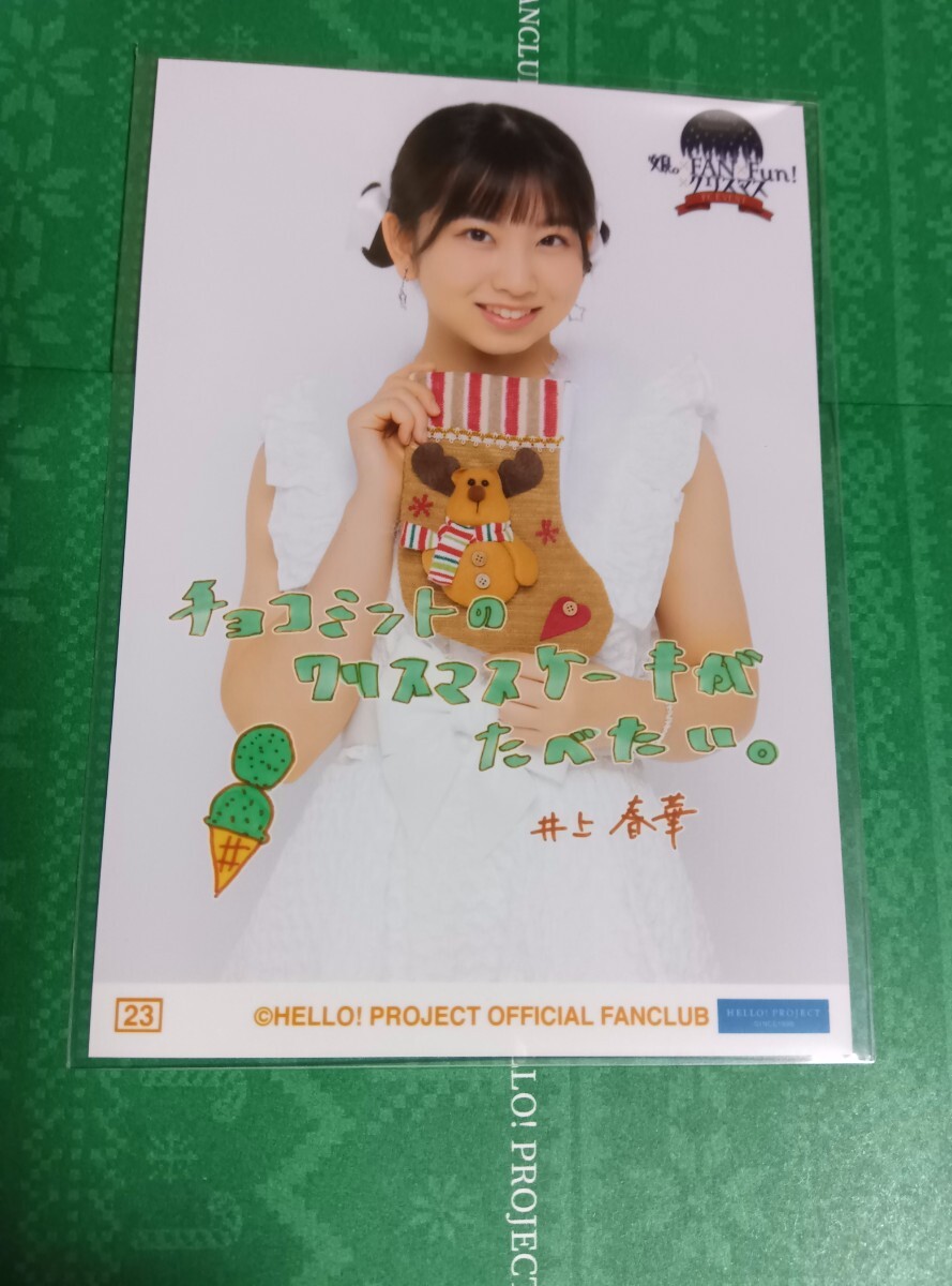 井上春華★23番★コレクション生寫真★クリスマスFCイベント★モーニング娘。'24