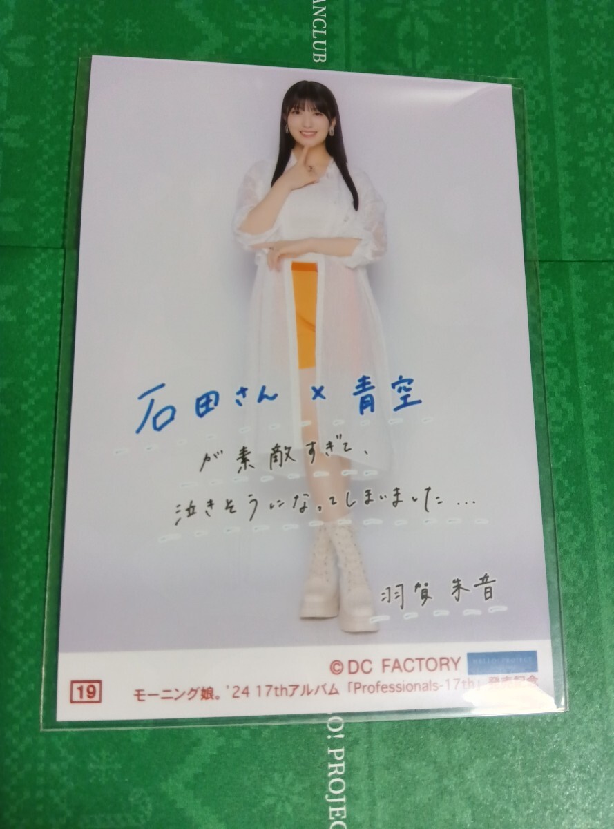 羽賀朱音★19番★コレクション生寫真★17thアルバム発売記念★モーニング娘。'24