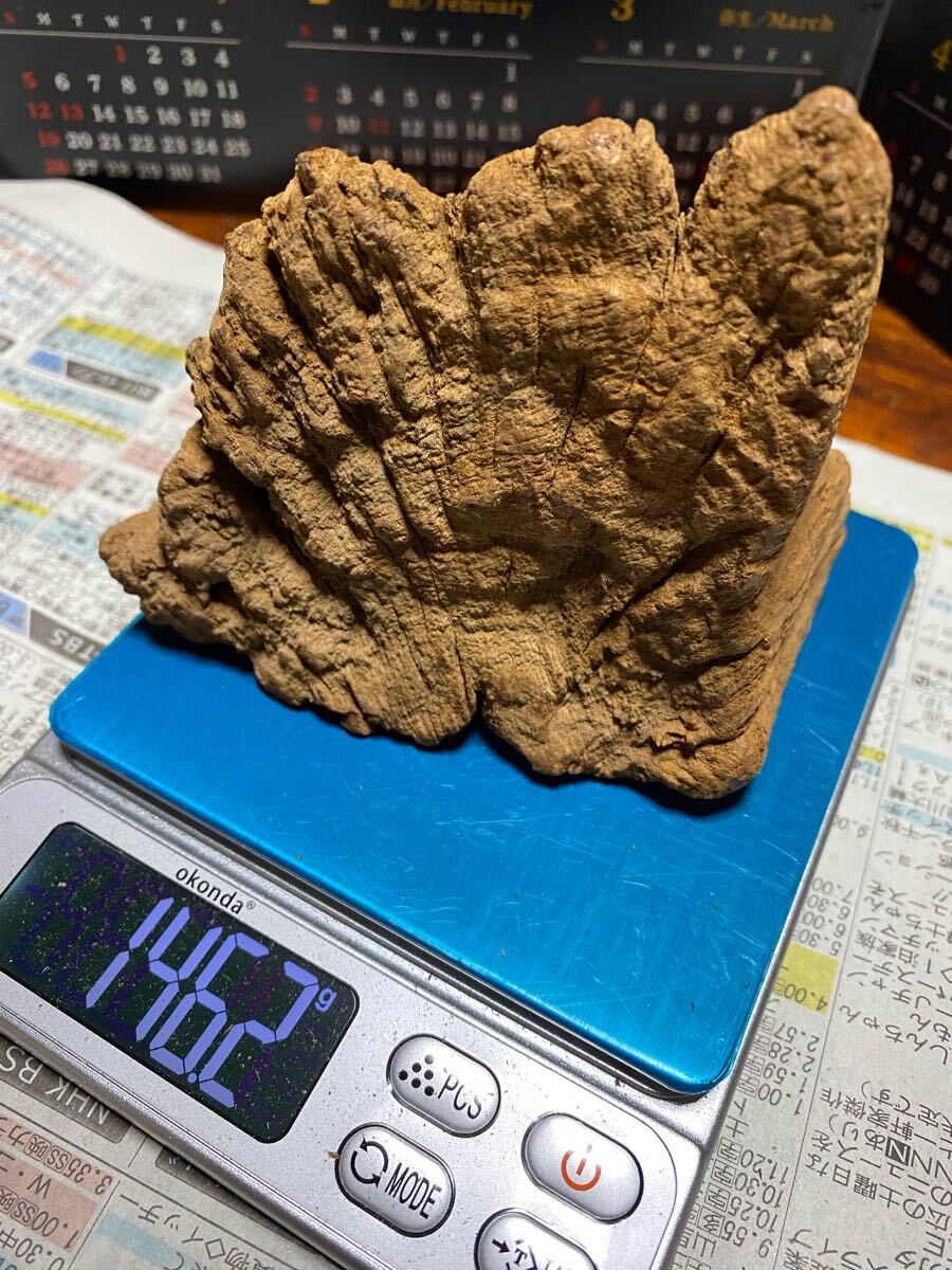 天然沈香樹香木「黄熟香沈香」原木146.2g 茶道具 六國五味沈香 天然沈香樹香木「黄熟香沈香」原木146.2g 茶道具 六國五味沈香