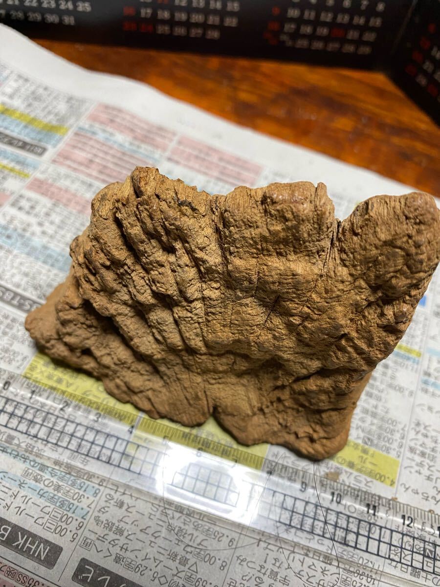 天然沈香樹香木「黄熟香沈香」原木146.2g 茶道具 六國五味沈香 天然沈香樹香木「黄熟香沈香」原木146.2g 茶道具 六國五味沈香