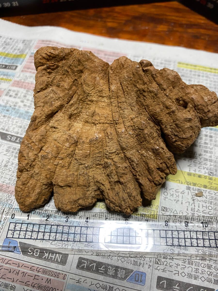 天然沈香樹香木「黄熟香沈香」原木146.2g 茶道具 六國五味沈香 天然沈香樹香木「黄熟香沈香」原木146.2g 茶道具 六國五味沈香