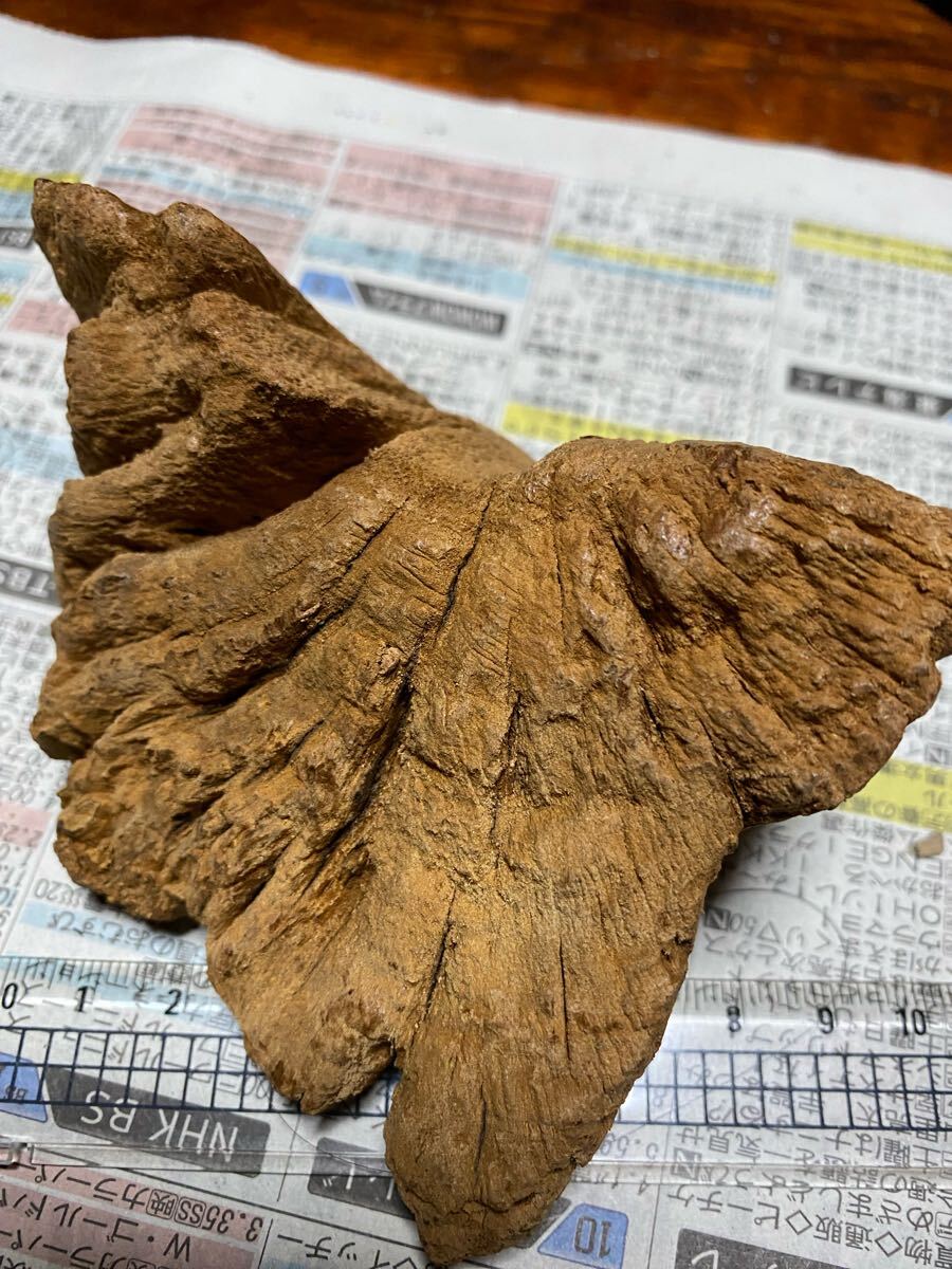 天然沈香樹香木「黄熟香沈香」原木146.2g 茶道具 六國五味沈香 天然沈香樹香木「黄熟香沈香」原木146.2g 茶道具 六國五味沈香