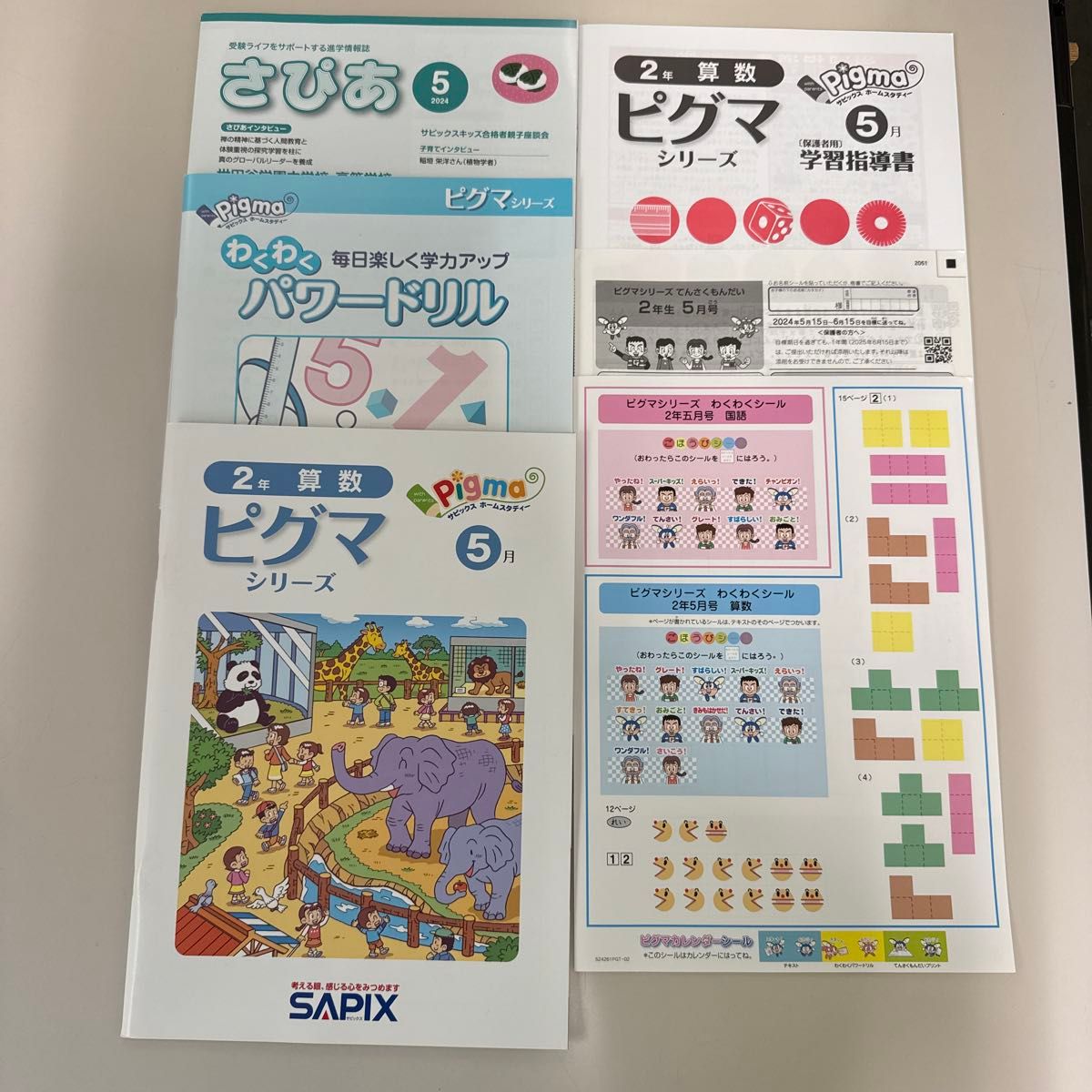 サピックス 通信教育 ピグマキッズくらぶ 2年生 2024年6月-12月|本 サピックス 通信教育 ピグマキッズくらぶ 2年生 2024年6月-12月|本