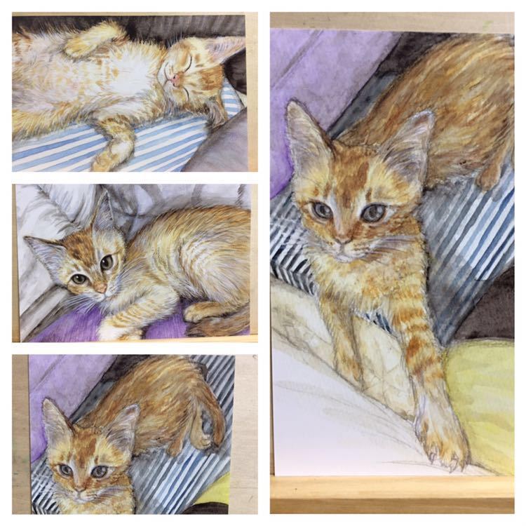 ヤフオク オリジナル ポストカード 19枚セット 猫 子猫 ヤフオク オリジナル ポストカード 19枚セット 猫 子猫