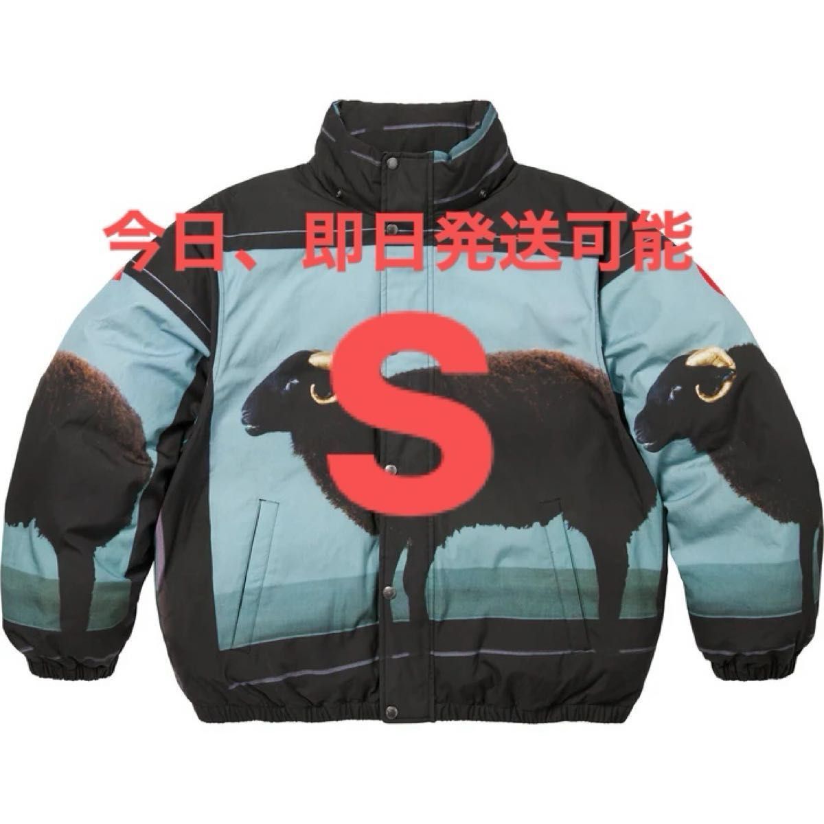 Supreme Damien Hirst Down Puffer Jacket Supreme Damien Hirst Down Puffer Jacket