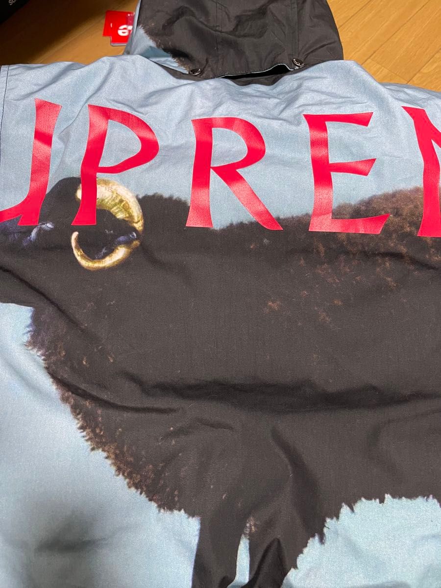 Supreme Damien Hirst Down Puffer Jacket Supreme Damien Hirst Down Puffer Jacket